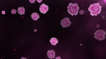 紫色康乃馨花瓣飘飞LED唯美背景演绎视频