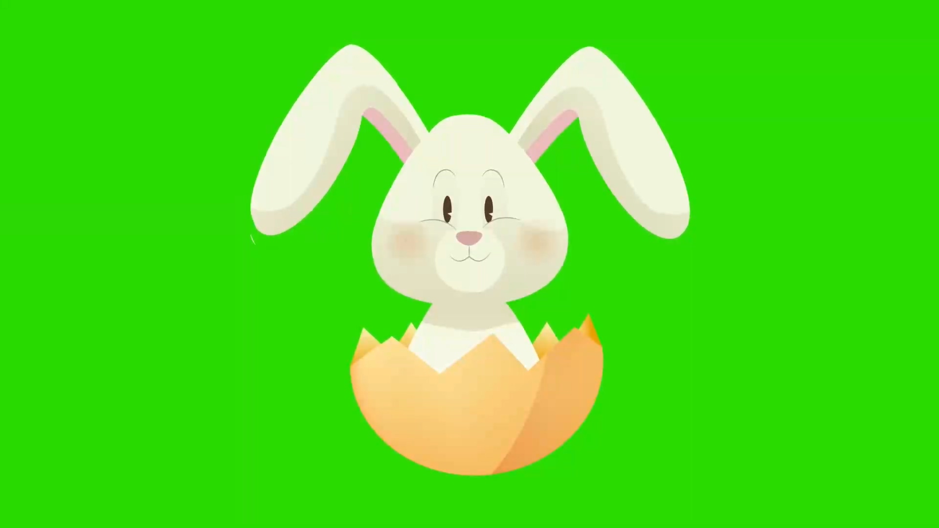 绿幕视频素材复活节兔子