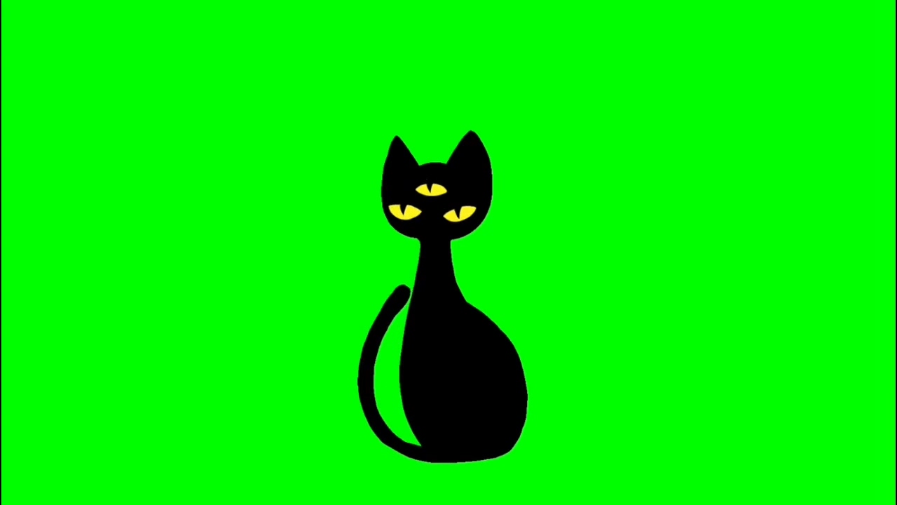 绿幕视频素材黑猫