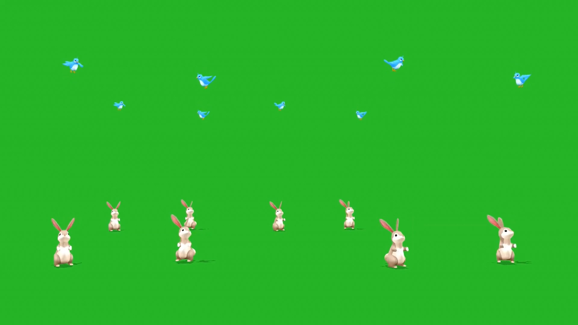绿幕视频素材小鸟兔子