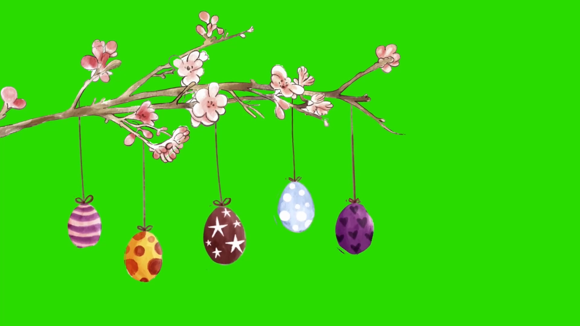 绿幕视频素材樱花彩蛋