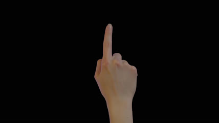 通道真实人手手势