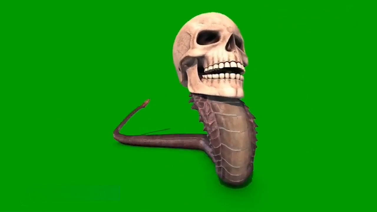 绿幕视频素材骷髅蛇