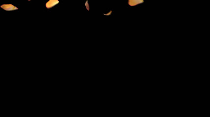 飘落的玫瑰花瓣 透明通道