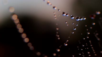 水珠
