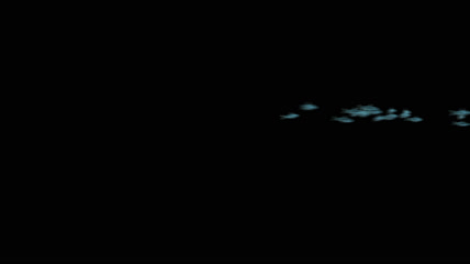 满屏沙丁鱼游过 透明通道 4K（3）