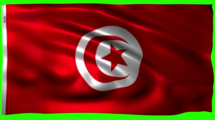 突尼斯国旗绿屏抠像
