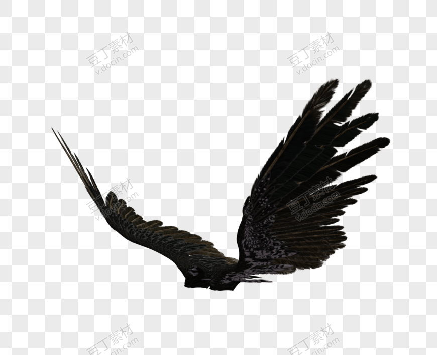 黑色羽毛翅膀