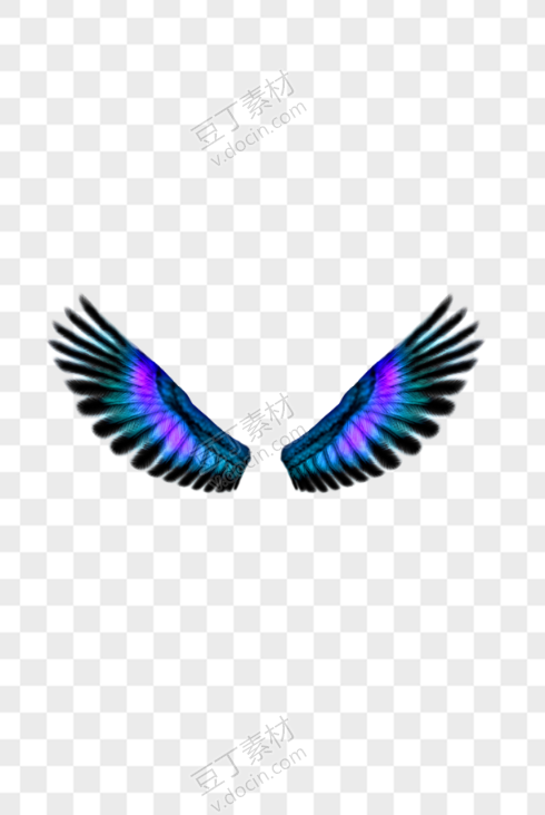深蓝色羽毛翅膀