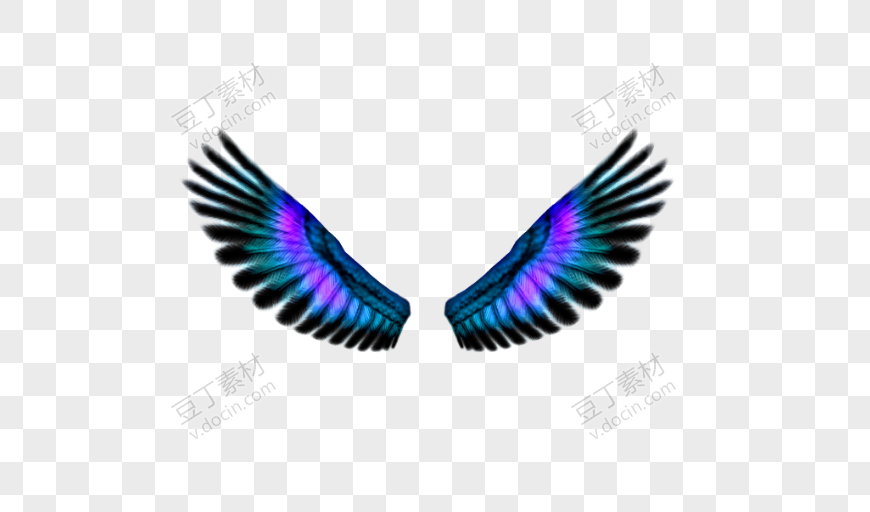 深蓝色羽毛翅膀