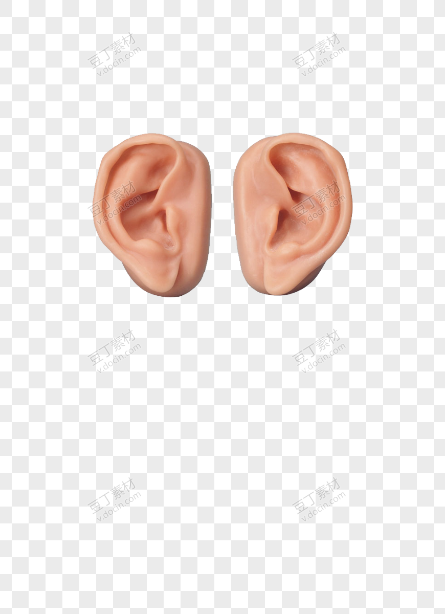 两只真实耳朵