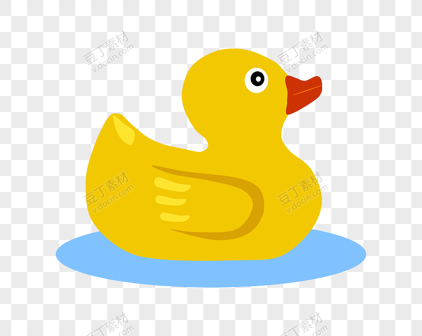 水面的小黄鸭