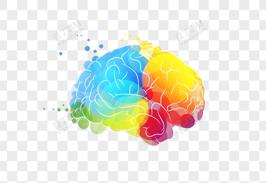 创意彩色人脑