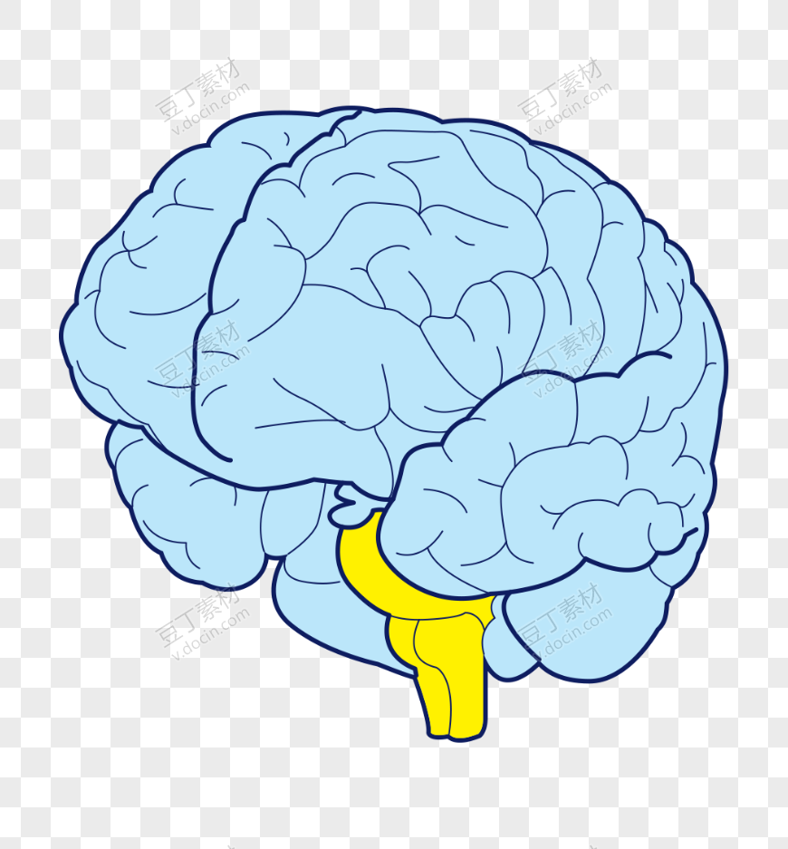 蓝色手绘人脑