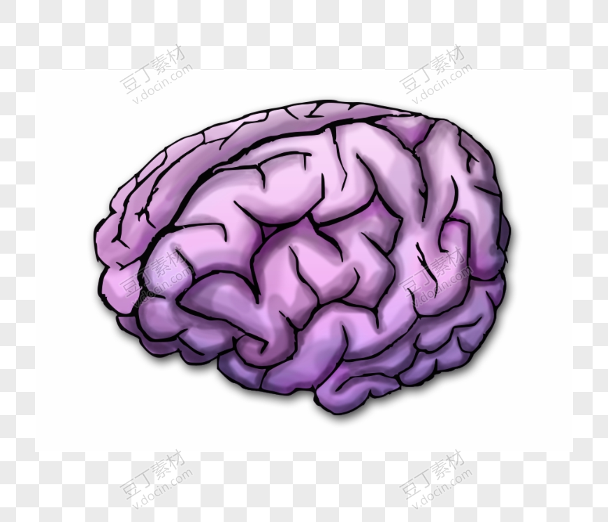 紫色人脑