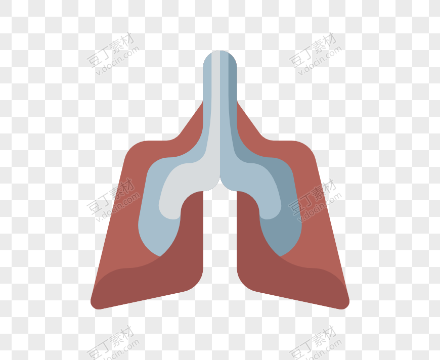 人体的肺形象插画
