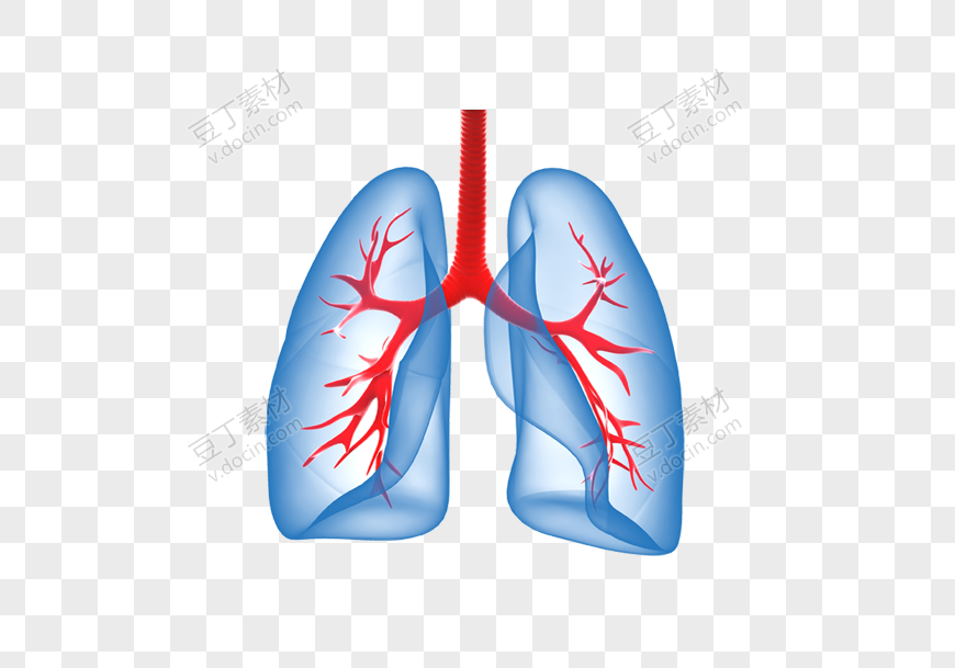 蓝色创意肺部图