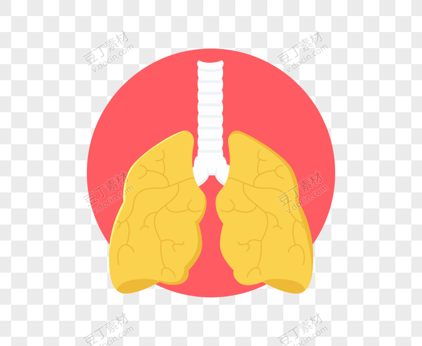 卡通肺部素材
