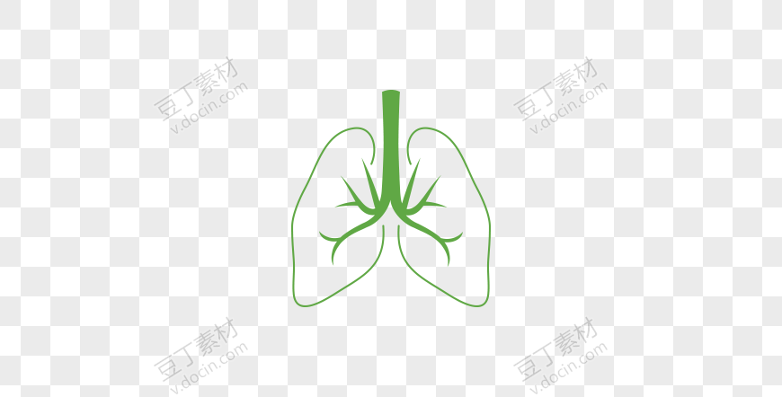 绿色简笔肺部器官