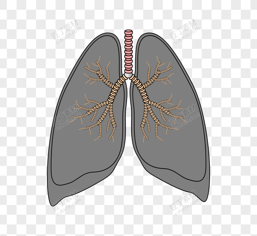灰色卡通红色器官肺插图