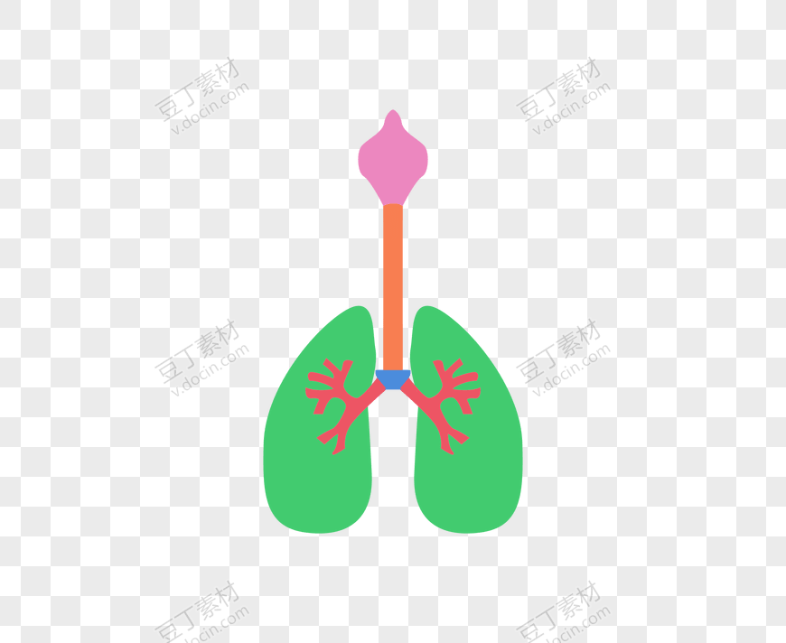 绿色创意人体肺部