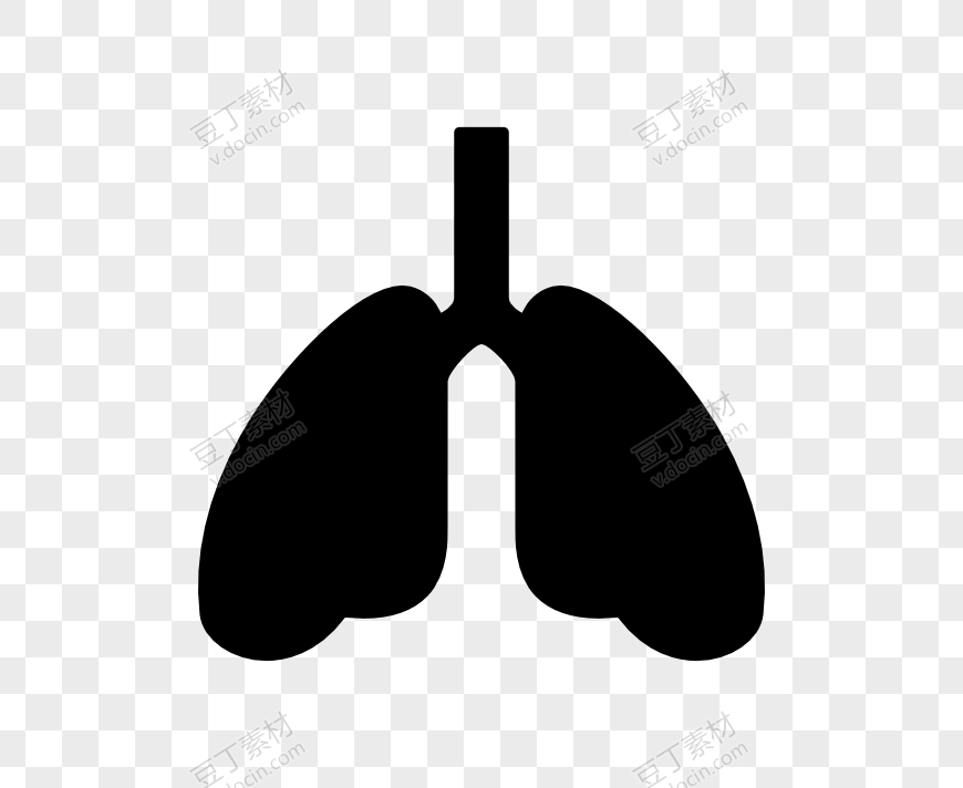 卡通人体的肺