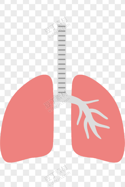 简约粉色卡通人体肺