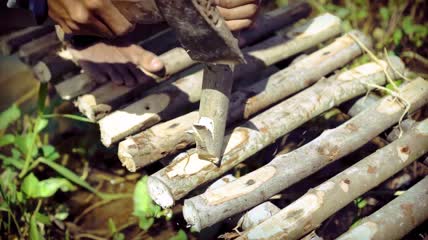 农民用斧子砍树枝做架子