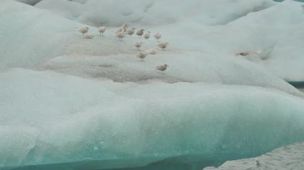 冰面上的自然风景
