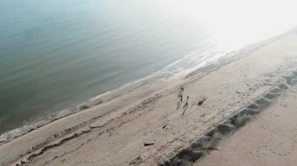 沙滩上无人机拍摄