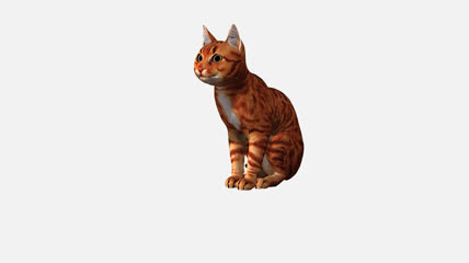 猫咪休息动画