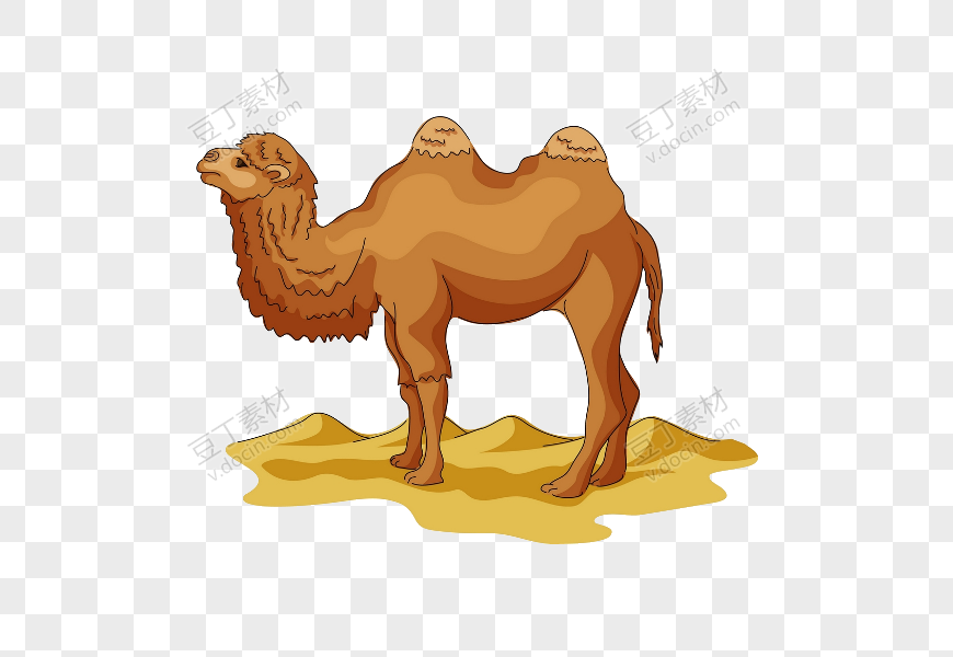 卡通插画沙漠骆驼