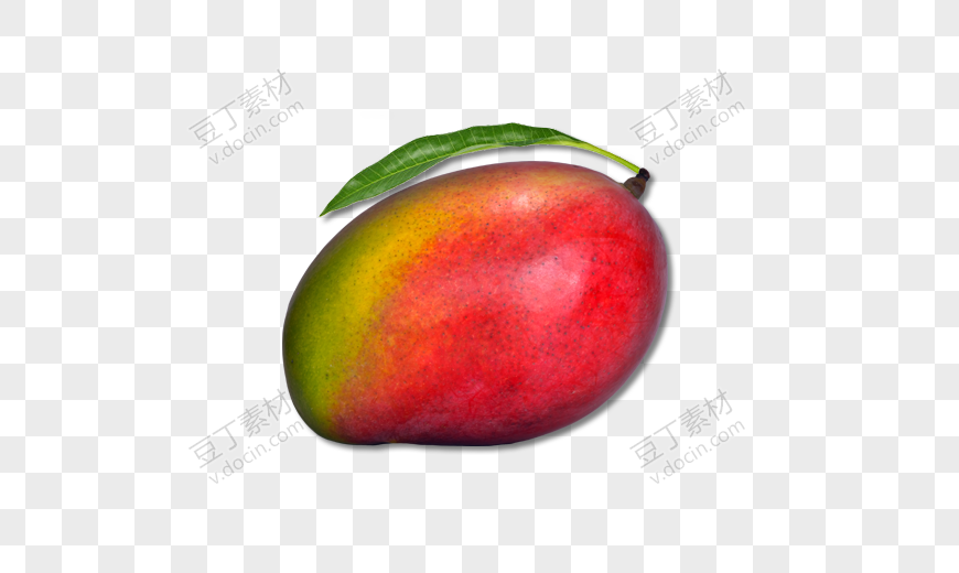 水果芒果
