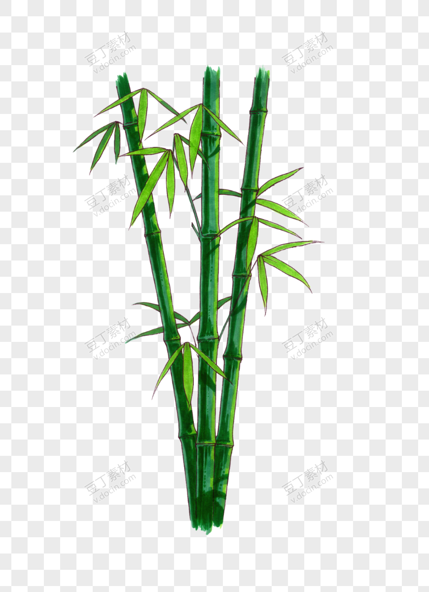 翠绿竹林竹子
