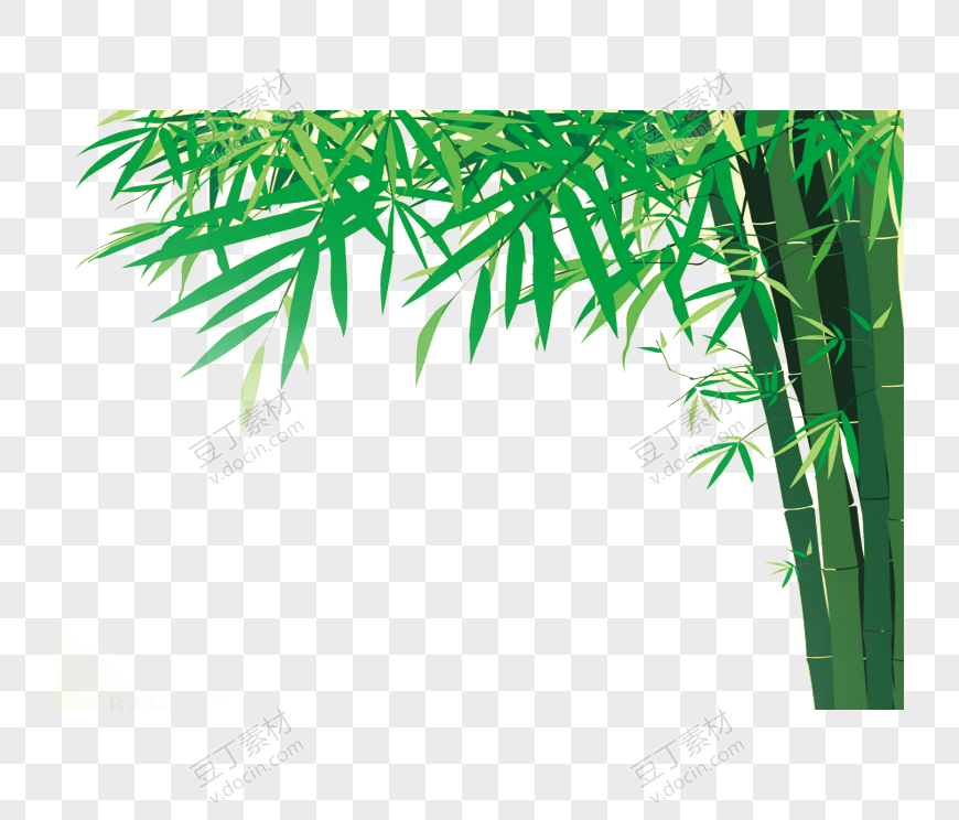 一片竹林竹叶