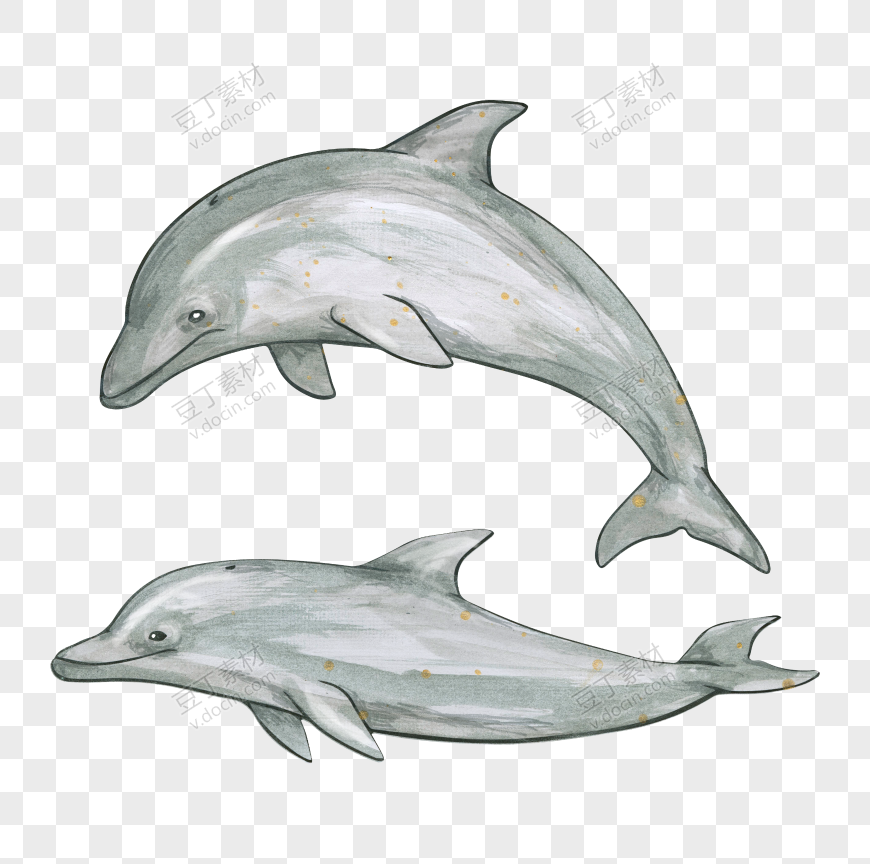 两只手绘海豚