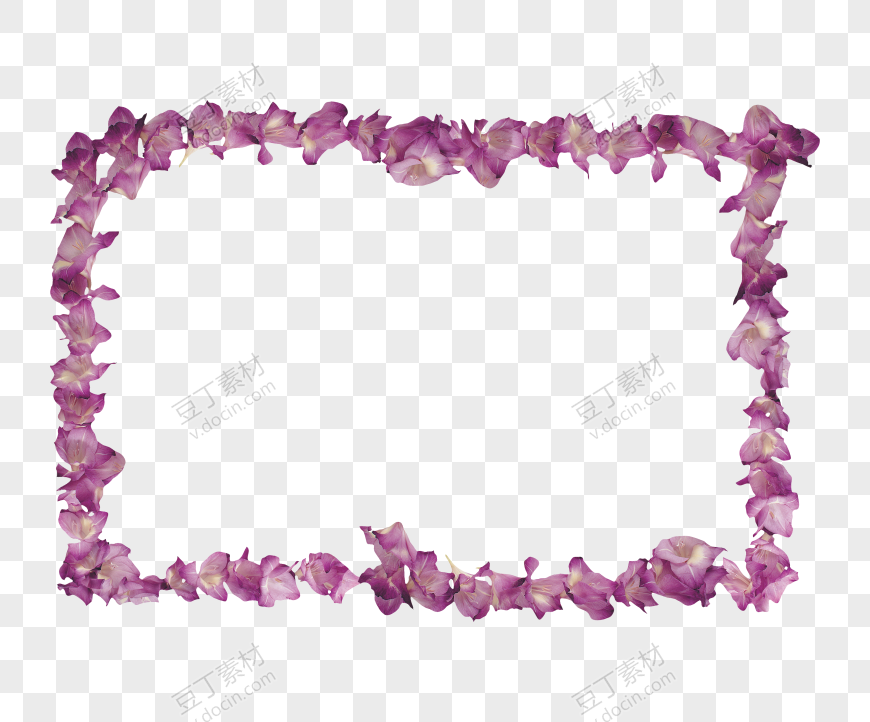 紫色喇叭花边框