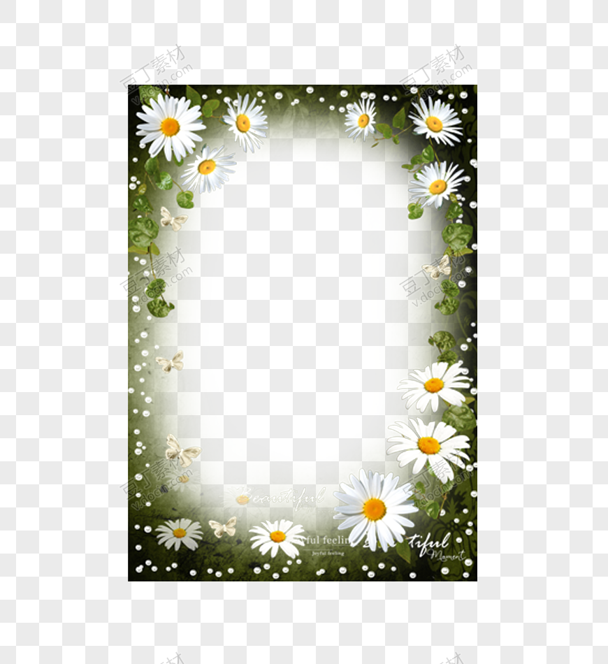 白色朦胧美雏菊装饰框