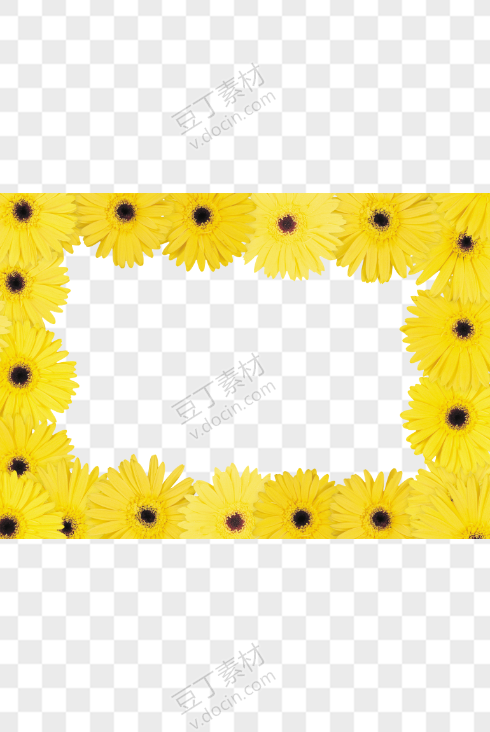 黄色方形雏菊花边框