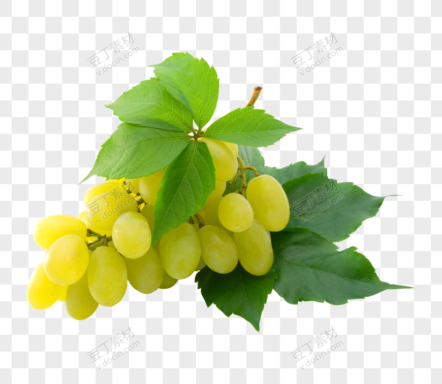 青提葡萄水果