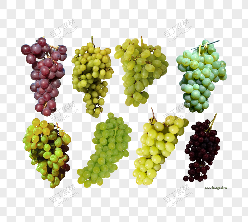 不同品种的葡萄组合