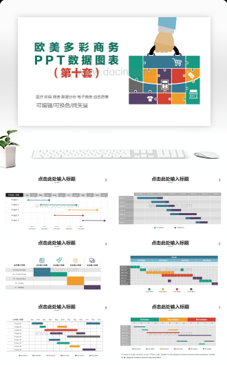 欧美多彩商务PPT数据图表（第十套）