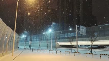 雪景夜景视频素材