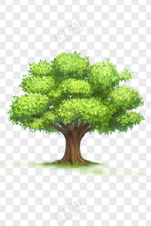 绿色植物大树