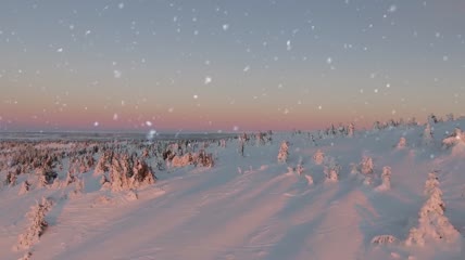 雪景美丽自然景观背景视频