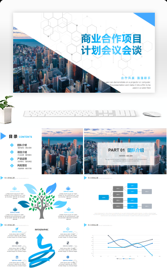 商业创业项目融资合作计划书