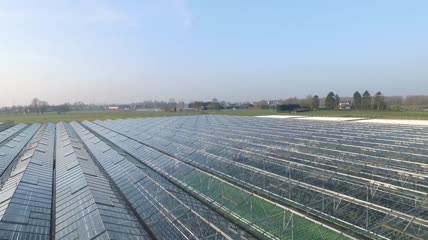 实拍农业种植玻璃温室