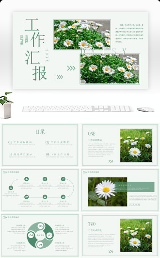 小清新野菊花工作汇报PPT模板