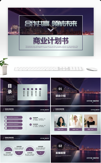 项目投融资商业计划书