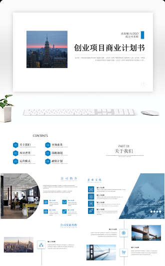 完整框架创业项目商业计划书